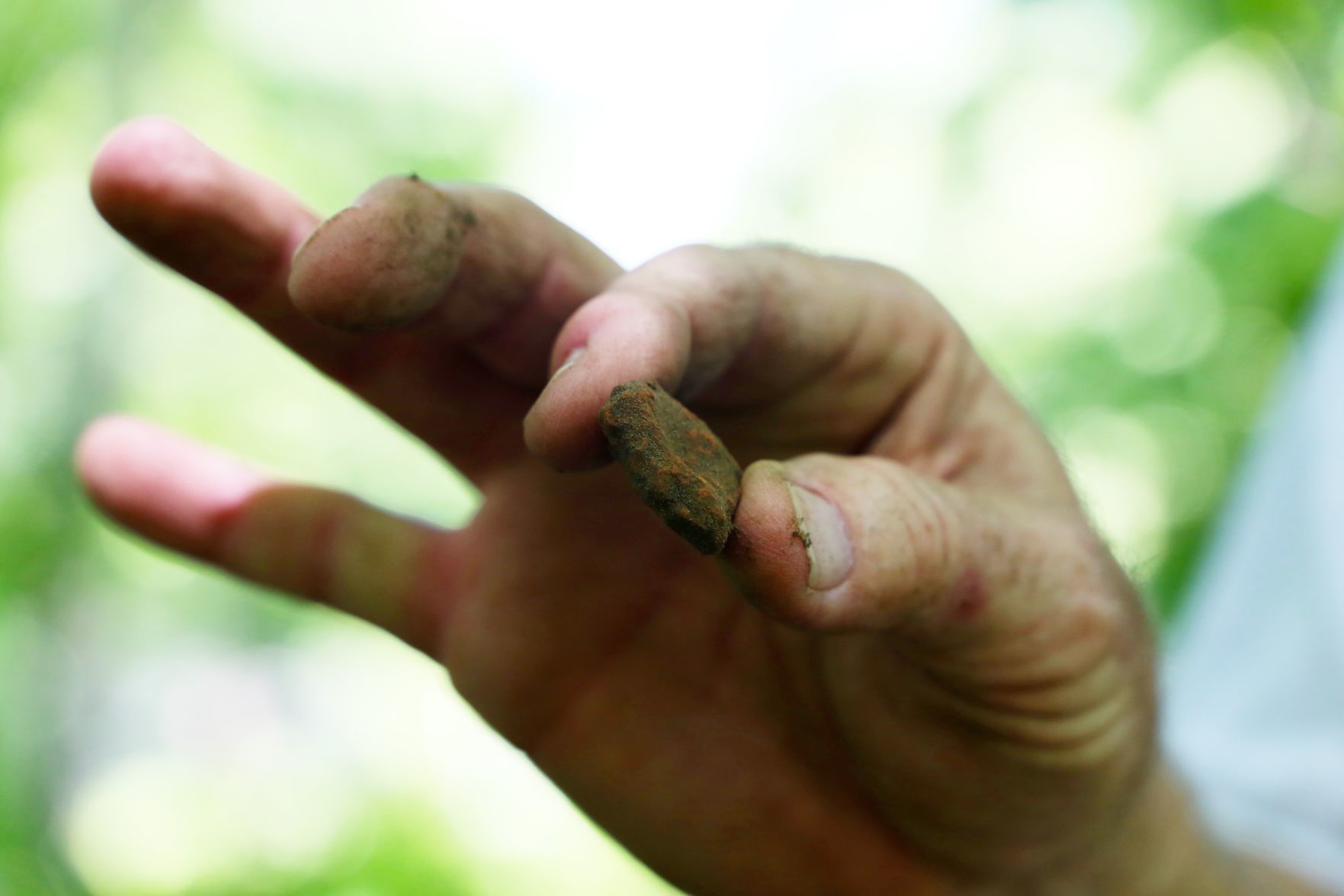 Fort Edward dig